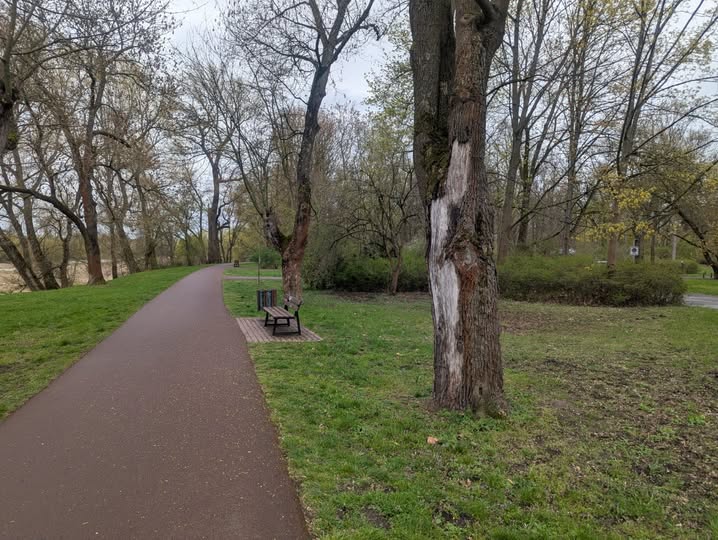 673547433 1279511297646424 9080635888767318887 n