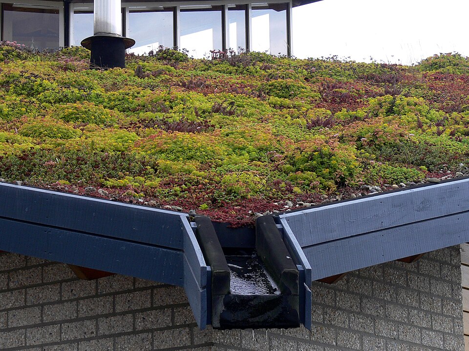 EVA Lanxmeer Green roof2 2009
