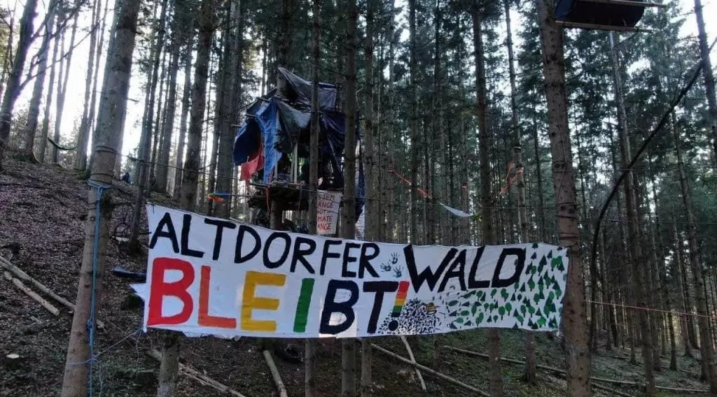 altdorfer wald 1024x568